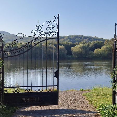 Ferienwohnung Im Moseltal Veldenz ภายนอก รูปภาพ