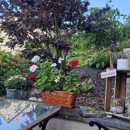 Ferienwohnung Im Moseltal Veldenz ภายนอก รูปภาพ