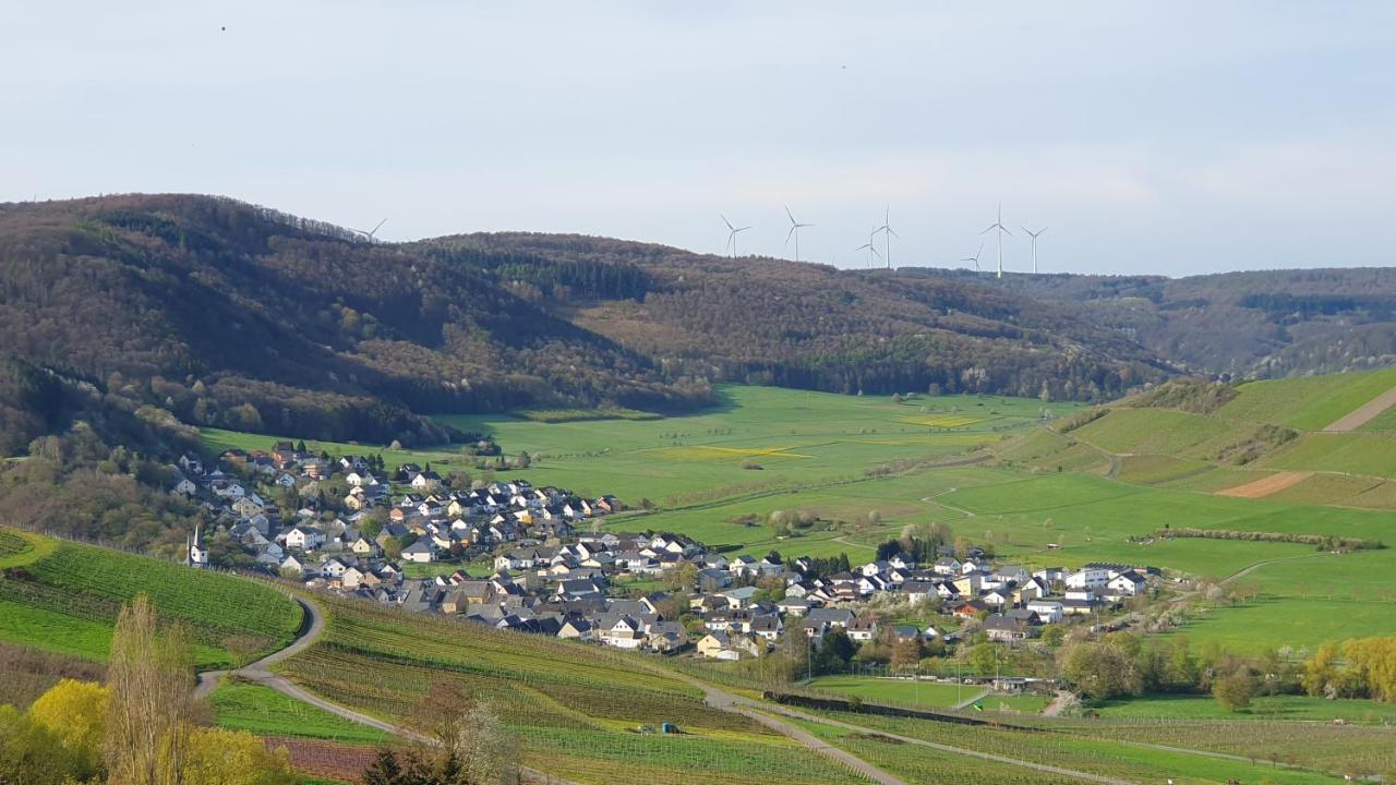Ferienwohnung Im Moseltal Veldenz ภายนอก รูปภาพ