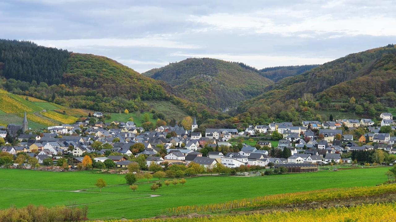 Ferienwohnung Im Moseltal Veldenz ภายนอก รูปภาพ