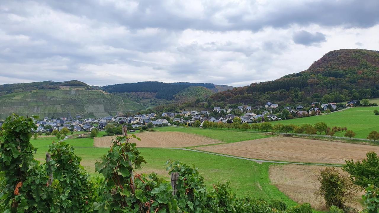 Ferienwohnung Im Moseltal Veldenz ภายนอก รูปภาพ