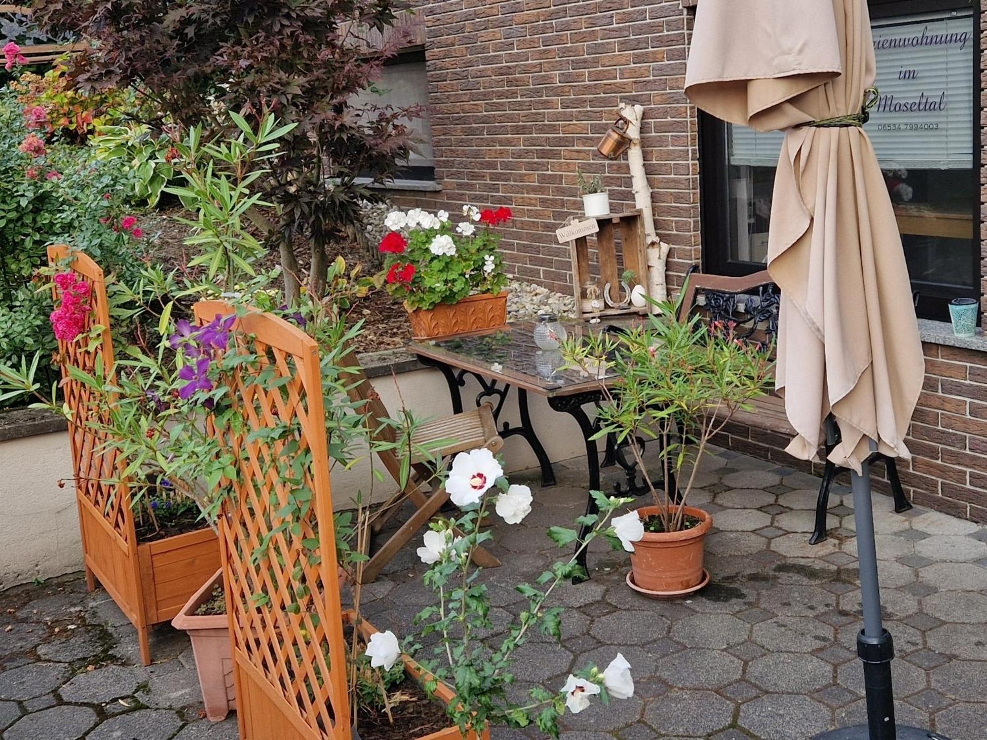 Ferienwohnung Im Moseltal Veldenz ภายนอก รูปภาพ