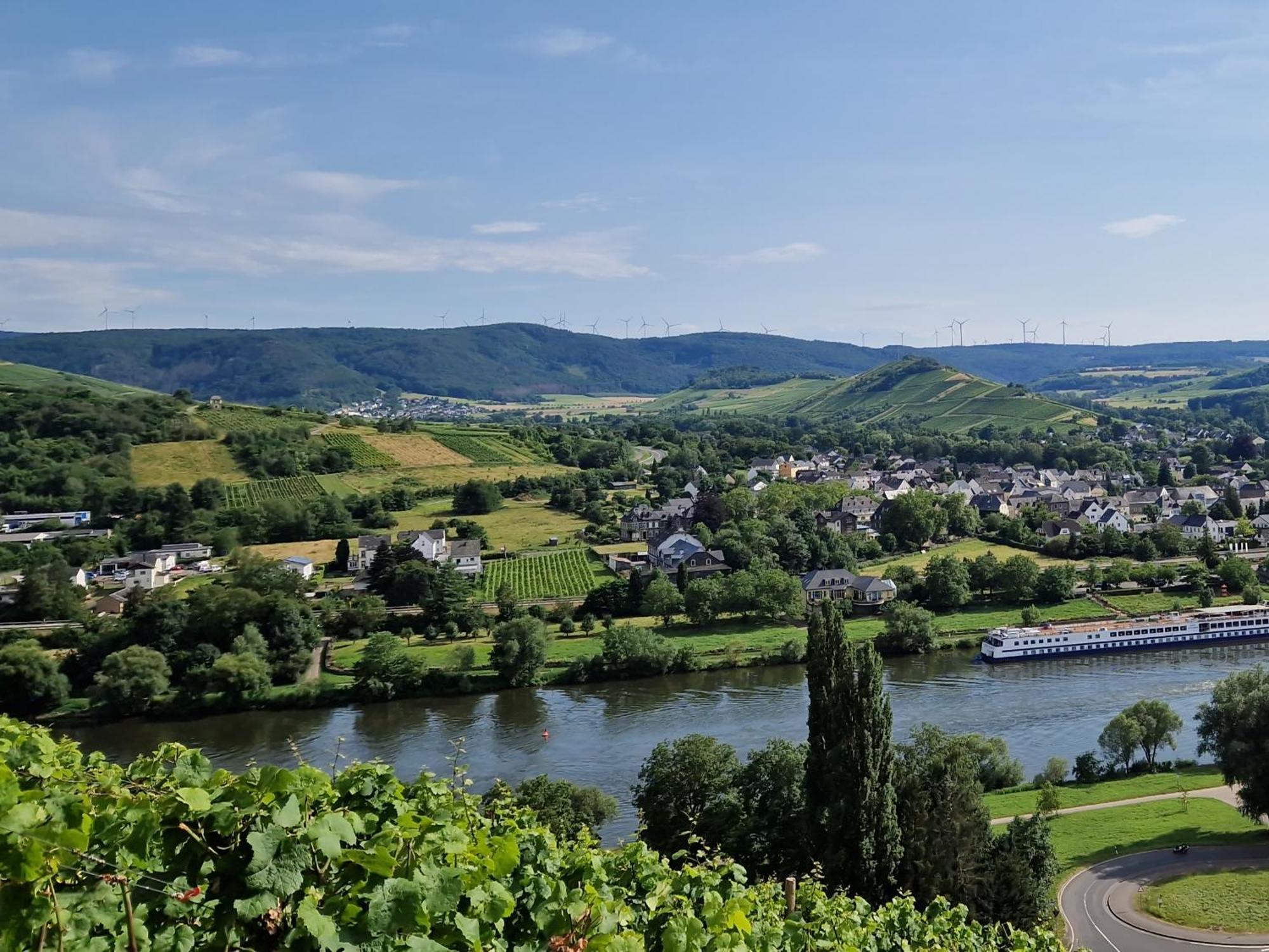 Ferienwohnung Im Moseltal Veldenz ภายนอก รูปภาพ